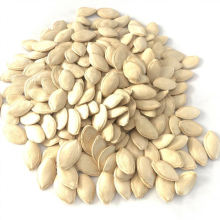 Chinese Supplier Export Cheap Price Pumpkin Seeds